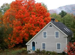 Home Sweet Home: Thetford, Vermont